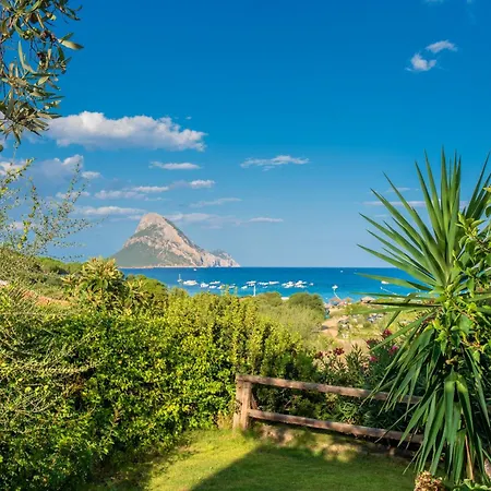 Casa Porto Taverna * Loiri Porto San Paolo